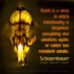 schopenhauer death life dream