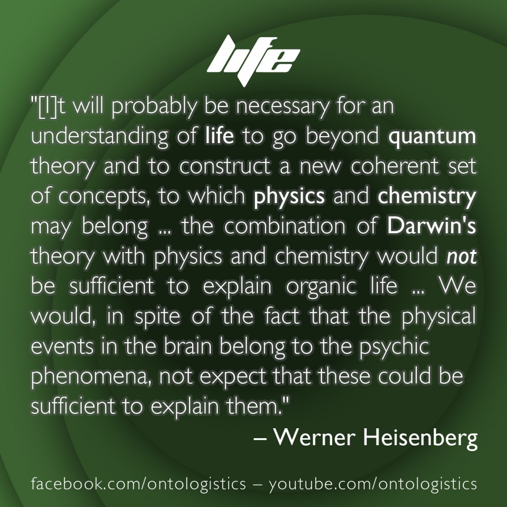 heisenberg life paradigm