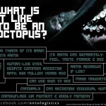 octopus facts vision brain arms intelligence clever cephalopod